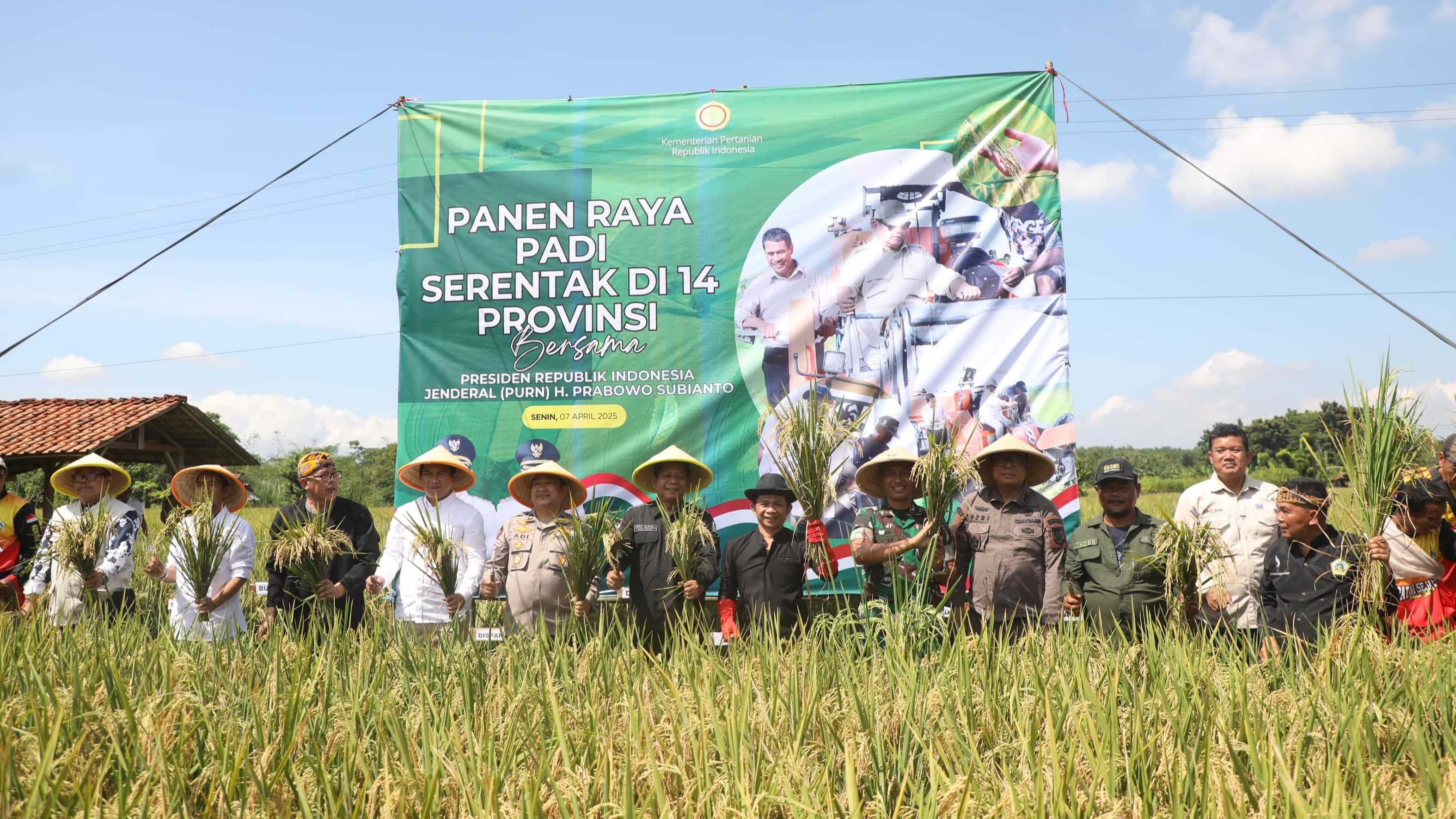 Panen Raya Padi Serentak, Bupati Purwakarta: Tak Boleh Lagi Ada Alih Fungsi Lahan Persawahan