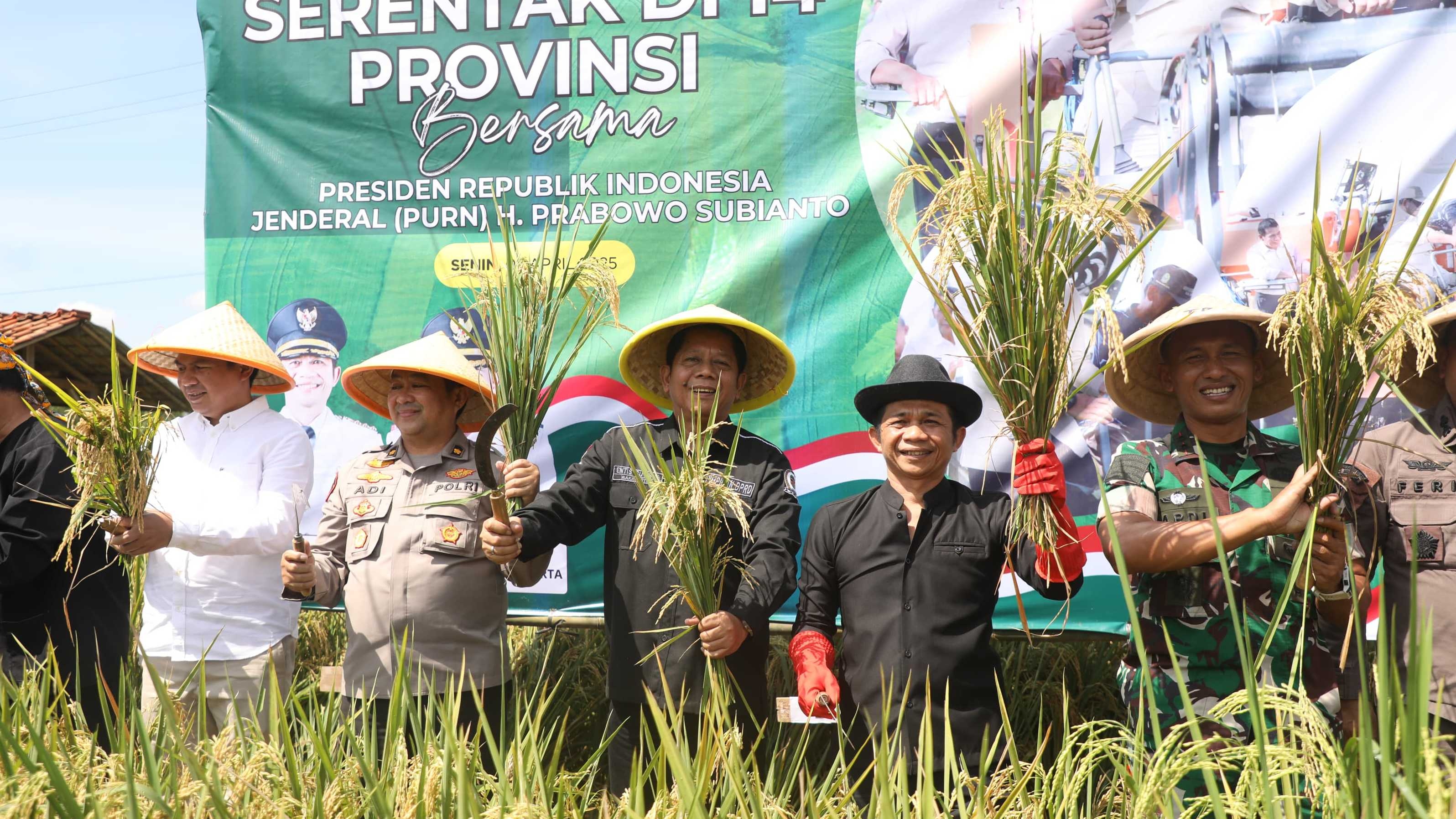 Bupati Om Zein Ikuti Panen Raya Padi Nasional dari Purwakarta, Bentuk Komitmen Daerah Dukung Ketahanan Pangan