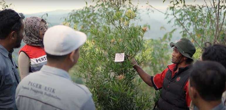 Dinas Kehutanan Jabar bersama PT Pertamina Luncurkan Program Flora Legacy