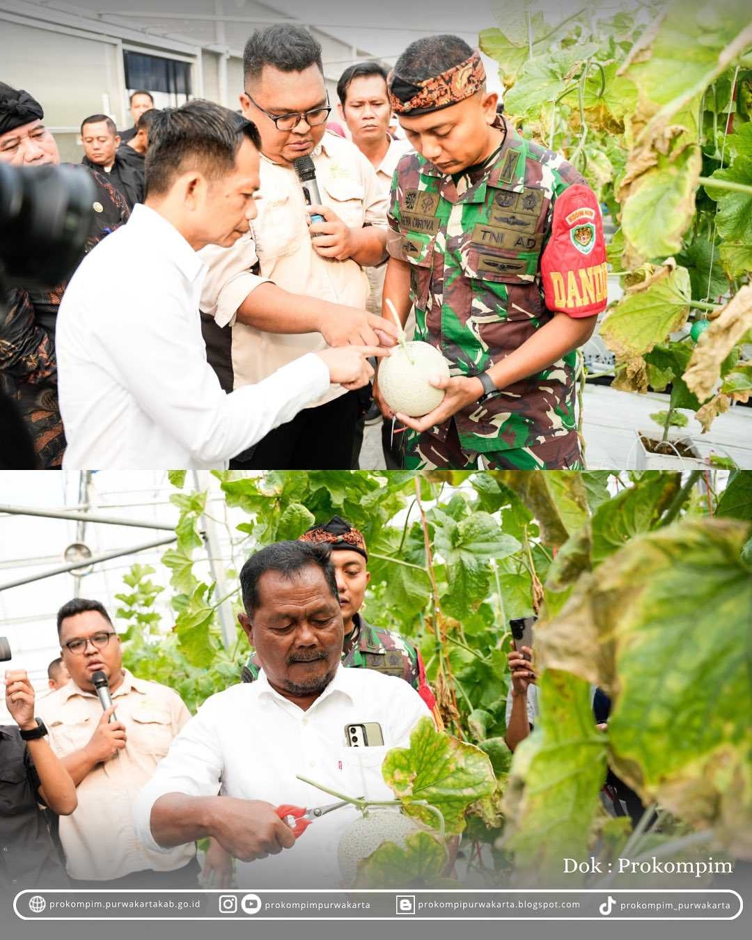 Bupati Om Zein Jalin Kerjasama dengan PT Sweet Greens Indonesia, Langkah Nyata Cetak Petani Muda Purwakarta
