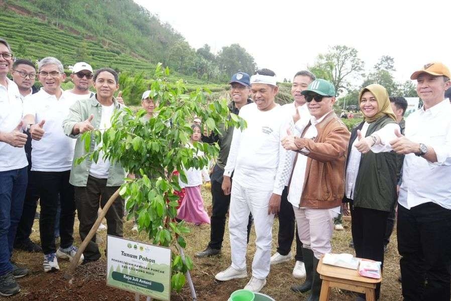 Hijaukan Kawasan Puncak Bogor, 50 Ribu Bibit Pohon Ditanam