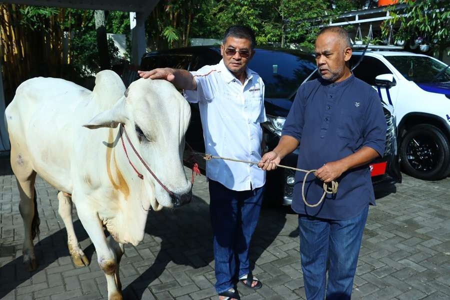 Jelang Idul Adha 1446 H, Wagub Erwan Salurkan Hewan Kurban untuk Warga Sekitar Rumah Dinas