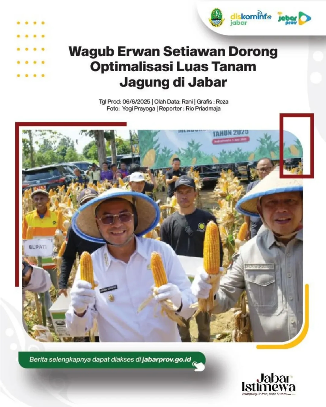 Wagub Jabar Hadiri Panen Raya Jagung Serentak Kuartal Il Tahun 2025, Dorong Tingkatkan Produksi Jagung di Jawa Barat