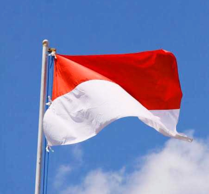 Pemasangan Bendera Merah Putih untuk HUT Kemerdekaan RI, Simak Aturan Resminya!